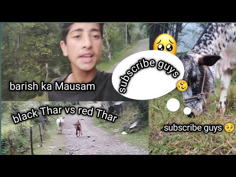 Chunnu munnu  barish ka ma mausam#funny #nature #subscribe #villagevlogs @sajjidkhan01