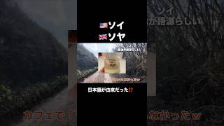 イギリスでは「ソヤ」?英語だと思ってた言葉が実は日本語が語源だった #shorts