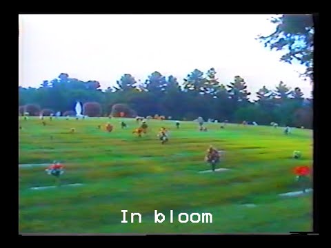 Video thumbnail for In Bloom
