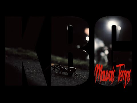 KBG - Mauvais Temps (Videoclip Officiel)