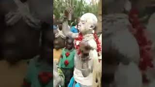 Download lagu The best moments about Bukusu circumcision ceremony. Just the chanting only is👌. mp3