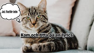 Rasmus seebach - natteravn (danisch misheard lyrics)