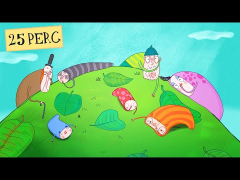 Délelőtt a kufliknál  - KUFLIK Meseválogatás ▶ 4 teljes epizód | 25 perc