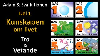 Thumbnail for video: Adam och Eva-lutionen Del 1: Kunskapen om livet (Tro & Vetande)