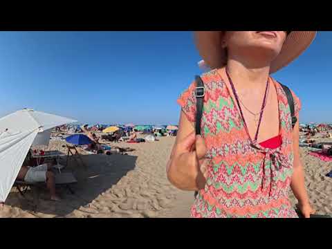 ✨ Sensation! A hidden paradise in Valencia | VR 360° | Go With Me 360