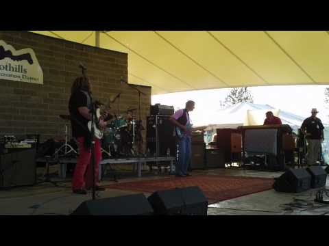 Bart Walker and Reese Wynans at the Bluestar Fest 8-4-12 If The House Is A Rockin