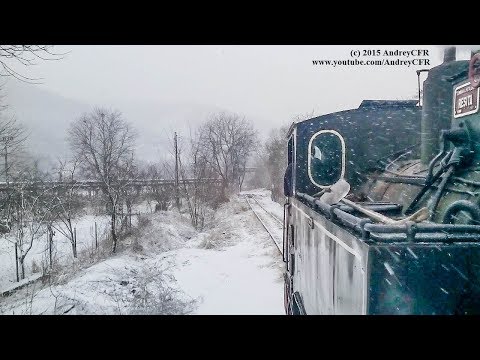 Plimbare cu mocănița Brad - Crișcior pe ninsoare [Decembrie, 2014]