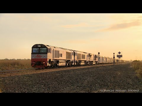 SCT 1PM9 Mixed Freight & Steel Train With QUBE Steel Wagons (6/4/2022) - PoathTV Australian Railways