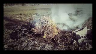 A Crispy Christmas Tree :]