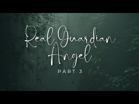 Real Guardian Angel Sighting! (Part Three)