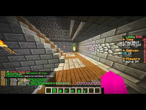 mcsg hacker alp04