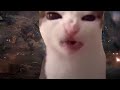 Cat Eats Infinity Stones