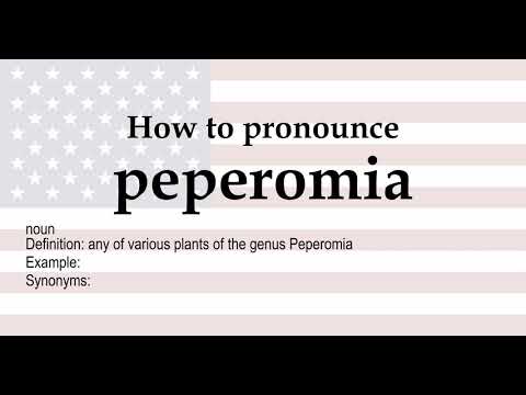 How to pronounce 'peperomia' + meaning