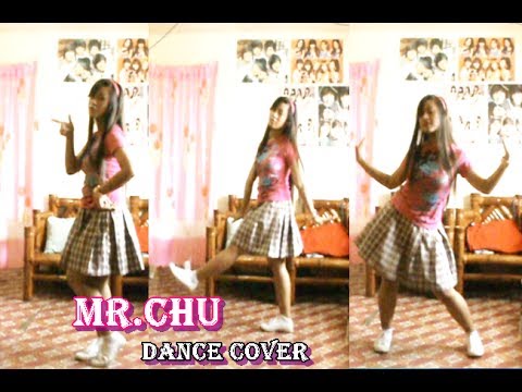 Mr.Chu - Apink (에이핑크) Dance Cover