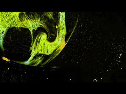 Fractal Beef - Flux (Official Video)