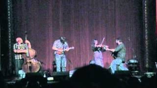 HogMaw ~ Darlin Coury ~ Thundergrass at the Capitol Theater in York PA