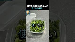 無限に食べたい。秒でなくなるきゅうり大根ナムル #簡単レシピ