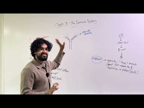 2025-2026 MCAT General Biology, Chapter 8- The Immune System (Part 2)
