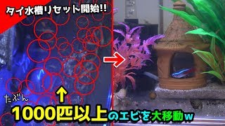 [#2崩壊水槽]稚エビも逃がさない！掬いに救う途方もない生態の移動だ