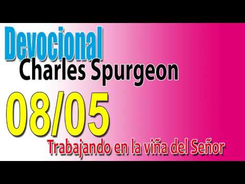 Devocional Charles Spurgeon 08/05 - Trabajando en la viña del Señor