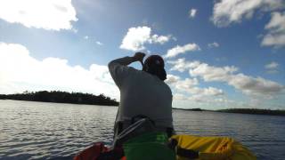 preview picture of video 'Everglades Trip 2011'