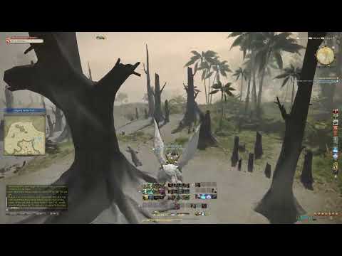 [FFXIV] "Digging Up the Truth" (full cutscenes) as a BOTANIST - Shunye's Apothecary Quests