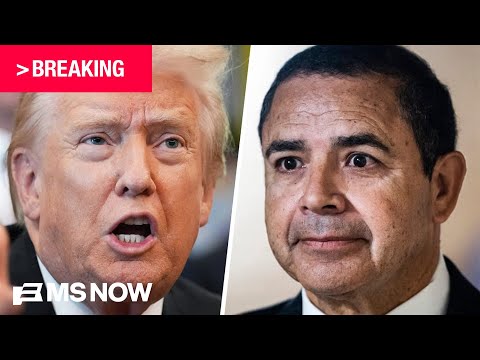 BREAKING: Trump pardons Dem Rep. Henry Cuellar