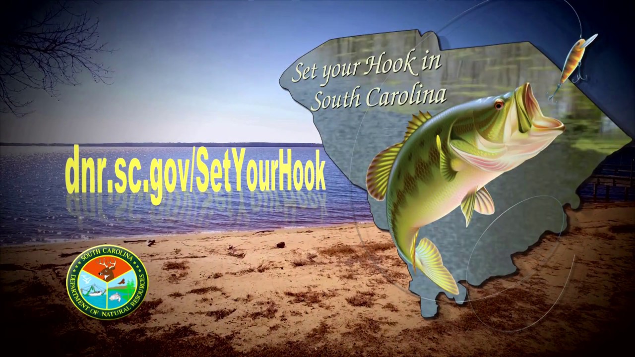 Set Your Hook in South Carolina