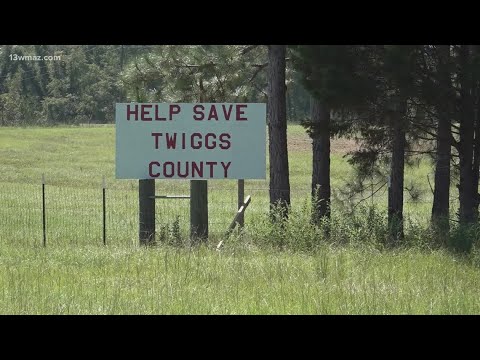 'They're not interested in what's good for the people' | Twiggs County land owners fight data center