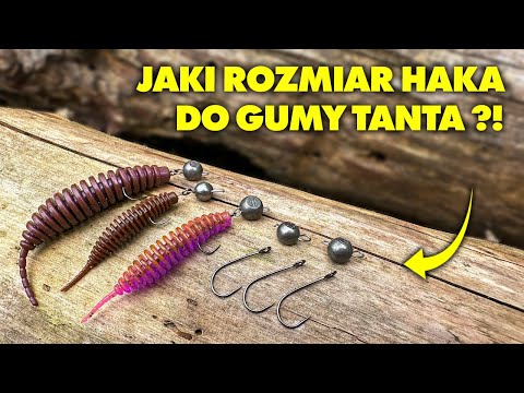 JAKI HACZYK do GUMY TANTA na OKONIE ?!