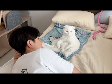 아빠 조용히좀 하면 안될까?