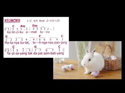 Kelinciku Amat Lucu  |  Lagu Sekolah Minggu