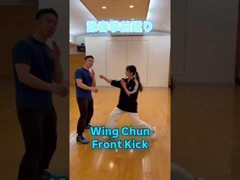 詠春拳ストッピング練習 #wingchun #詠春拳