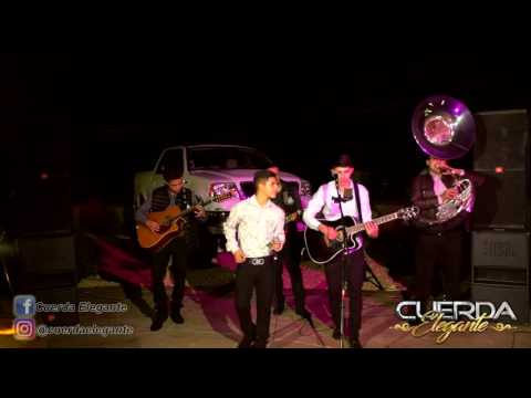 Cuerda Elegante   La Vida Ruina En Vivo