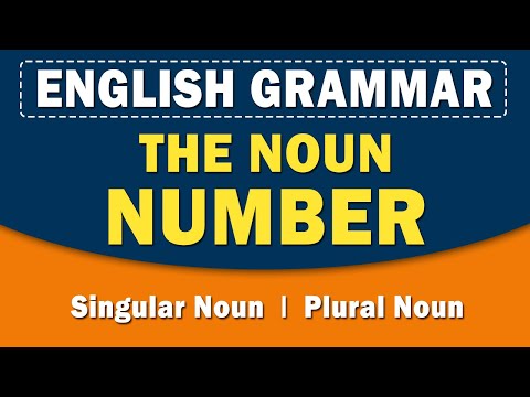 The Noun Number | English Grammar | Learn with examples | Home Revise