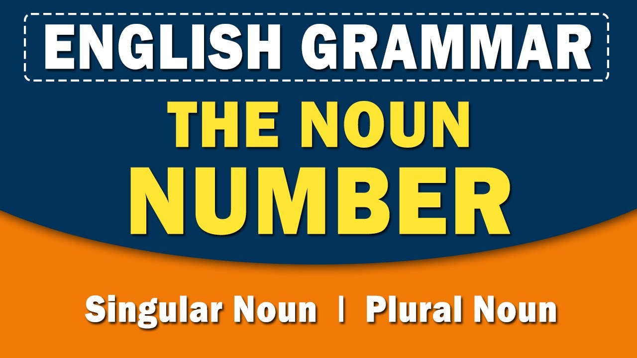 The Noun Number | English Grammar | Learn with examples | Home Revise