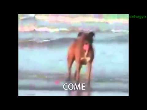 YO GONE GET YO FEET WET!!!!!!