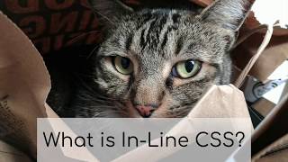 What is In Line CSS? | Coding For Cats