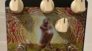 Video thumbnail for Lovepedal COT50 Eternity Stack Overdrive & Boost guitar pedal Demo by TheHausch
