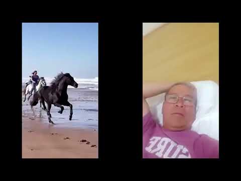 life story dear MOR#104