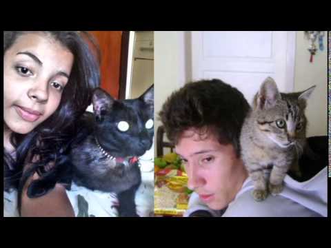 Fotos da Semana - Facebook Telhado de Gatos - 07.07.2014