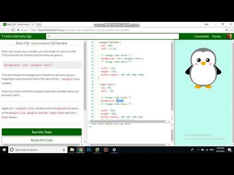 Basic Css Use A Custom Css Variable Free Code Camp Dani