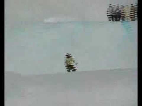 Snowboard - Tomek Tylka