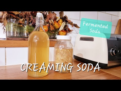 Make FERMENTED CREAMING SODA | Fermented Soda Series