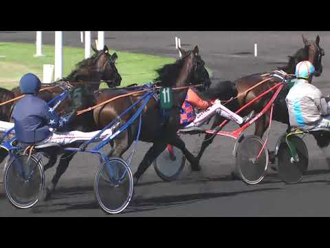 AVE AVIS - Critérium des 5 ans 2015