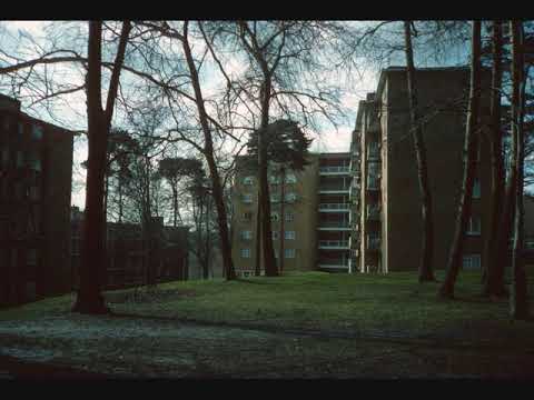 Gritty Ridez - Too Young To Die (2019)