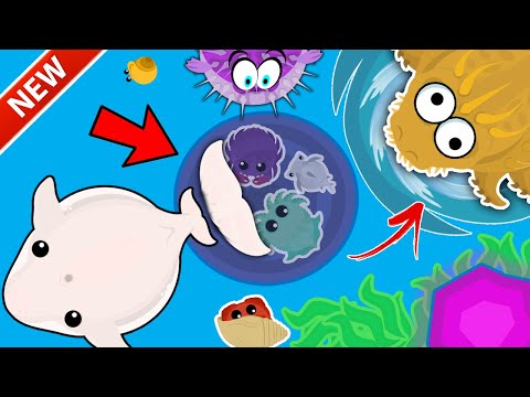 NEW ULTIMATE WHALE HIDING HOLE GLITCH IN MOPE.IO