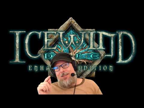 Icewind Dale: Enhanced Edition Review - Is It Worth It?