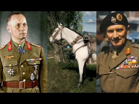 They Murdered Rommel's White Horse