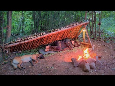 , title : '2 Days Solo BUSHCRAFT SHELTER Camping in the Woods with My Dog, Survival, Wild Camping, ASMR, DIY'